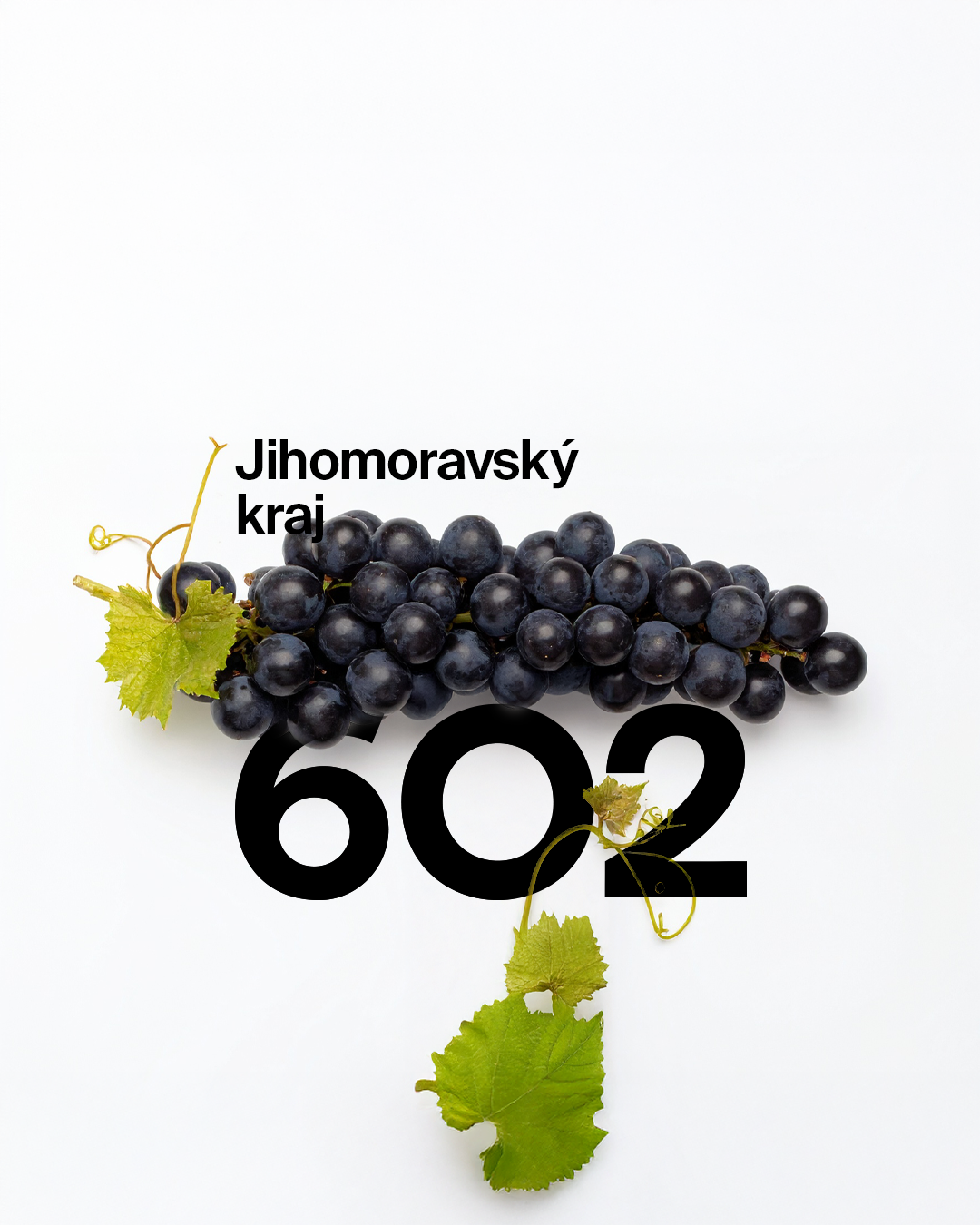Jihomoravský kraj